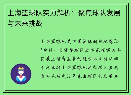 上海篮球队实力解析：聚焦球队发展与未来挑战